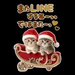 大きく表示♡冬にゃんこ