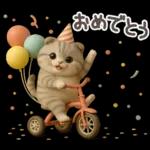 【３D】ネコ・秋　バラエティパック