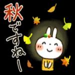 夏～秋「白うさぎさん」日常パック