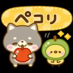 秋に役立つ♡豆柴日和