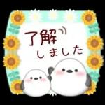 【シマエナガです】花束/夏のひまわり4