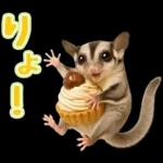 フクロモモンガ❤実りの秋は大豊作