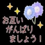 秋だね～紅葉が赤くなりそう～～