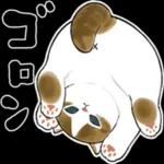 今日は猫カレーの日3