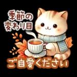 猫のつめあわせ【秋】