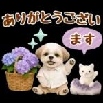 大人可愛いシーズーで梅雨の気づかい敬語