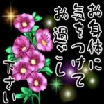 もう会えないですが、あなたに会いたいです