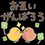  今日の癒しと元気をお届けますよ〜