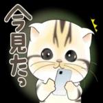 姉ぁ、おひさしぶり