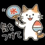 猫ちゃんとスイーツと夏