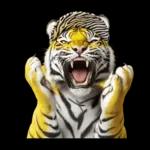 大阪神戸の野球好き虎ファン向け2