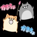 連絡ないと
心配にM
なっちゃう
EC
い