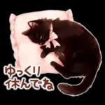 黒猫のつめあわせ♪