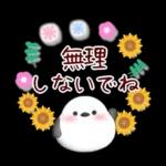 【シマエナガです】花束/夏のひまわり4