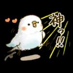 敬語が話せる！もふもふインコ