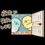 敬語が話せる！もふもふインコ