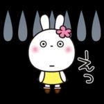 優しい2!!かわいい白うさぎ