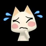 どこでもいっしょ