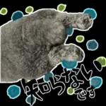 大人かわいい日常メッセージ?