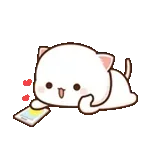 誕生日おめでと〜やで🎉