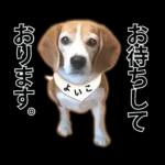 4時の楽しみ🥳🥳🥳	新しいスタンプを見逃さないで