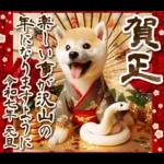柴犬と白蛇の幸運あけおめスタンプ♡