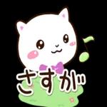 台風
気をつけて