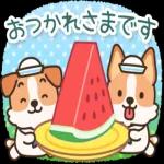 超人気スタンプ🔥🔥🔥   