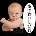 煽り性能MAXの赤ちゃん３【面白かわいい】