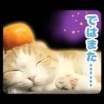 猫の「うなちゃん」