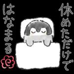 ペンギンちゃん