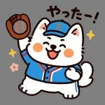 サモエドと一緒にぽかぽか春