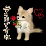 初夏の大人可愛い♡ゆる敬語