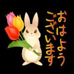 おはよう ございます ⌒ー⌒