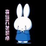 ミッフィーの幸せな暮らし