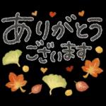 大人可愛い❤️秋の日常。