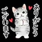 毎日☆猫たちのスタンプ