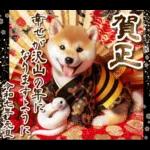 柴犬と白蛇の幸運あけおめスタンプ♡