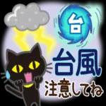 大人女子の日常【夏編】