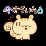 シマリスのマリーちゃん