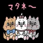 シンプルで使いやすい会話スタンプ＊