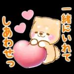 愛する人に感謝を送る❤️いやしばいぬ赤柴