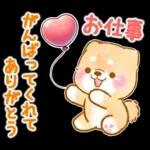 愛する人に感謝を送る❤️いやしばいぬ赤柴