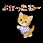 冬のキラキラおめめの子猫ちゃん