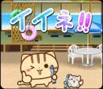 夏も飛び出す♪ ネコちゃん ハムちゃん