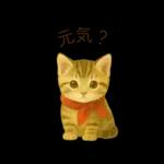 子猫のとらの日常スタンプ