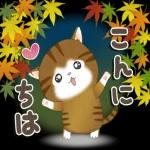 素敵な一日になりますように〜