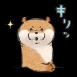 可愛い嘘のカワウソ