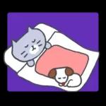 家族で使える秋の灰色キャット【猫】