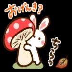 ❤️ほっこり癒し系❤️ハート耳のうさぎさん_